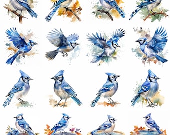 Watercolor Bluejay Bird Clipart - 16 High Quality PNGs - Digital Download - Commercial Use - Card Making, Mixed Media, Digital Crafting