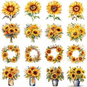Clipart girasole acquerello - 16 PNG di alta qualità - Download digitale - Uso commerciale - Creazione di cartoline, Media misti, Mestiere con carta digitale