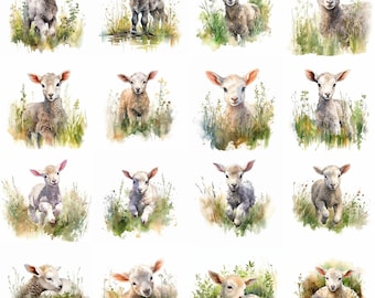 Watercolor Lamb Clipart - 16 High Quality PNGs - Digital Download - Commercial Use - Card Making, Mixed Media, Digital Crafting