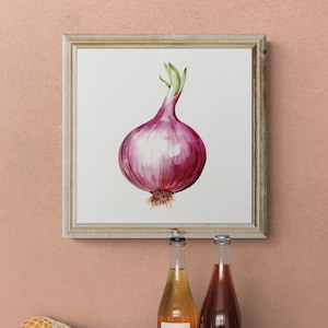 Vegetable Print, Onion Print, Kitchen Art, Illustration, Botanical Print, Vegetable Art, Garden Art