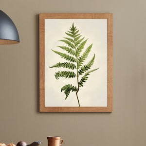 Botanical Wall Art, Botanical Art Print, Kitchen Art, Kitchen Wall Art