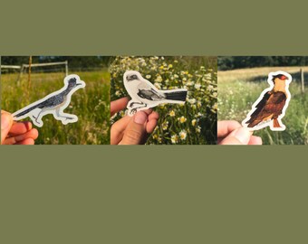 Conjunto de pegatinas de pájaros del suroeste / Vinilo mate impermeable 3 paquete de pegatinas troqueladas (~2×2″) / Pegatina de arte / Pegatina de pájaro