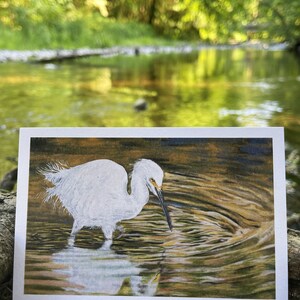 postale de Milou de Zazzle.be Liste d'envies Vous avez des idées ? Carte postale d'impression d'art de 4 x 6 po. sur papier vélin | Carte postale d'oiseau | Art à encadrer