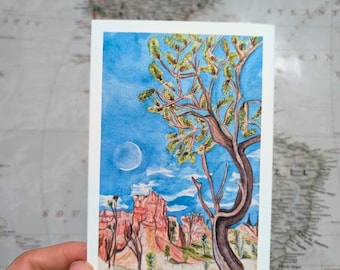 Juego de postales de tierras públicas / Paquete de 5 postales impresas artísticamente de 4 x 6" en papel vitela / Postales de la naturaleza / Arte enmarcable