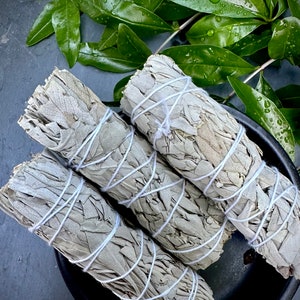 White Sage Bundle for Smudging, Cleansing, Relaxing, Good Energy, Clearing Negativity