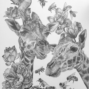 Giraffe drawing 15in x 20in, graphite animal drawing