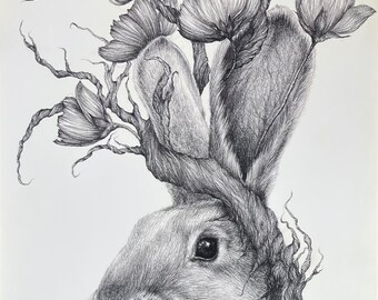 Surreal rabbit drawing, graphite drawing, animal drawing