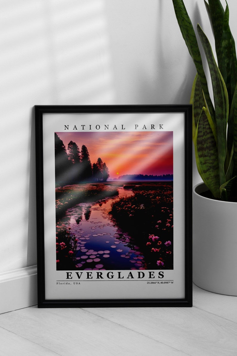 Everglades National Park Wall Art Digital Download Custom Prints Everglades Print Everglades Poster Everglades canvas home decor Souvenir image 5