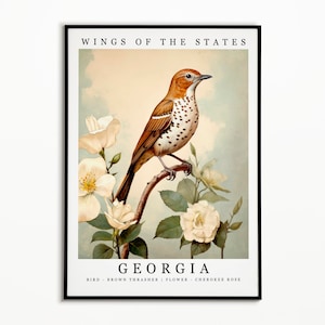 Pájaro del estado de Georgia - Thrasher marrón y flor del estado - Arte de la acuarela de la rosa cherokee, cartel del pájaro del estado, impresión del arte de la pared de Georgia, decoración del hogar