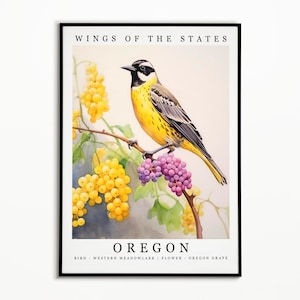 Oregon State Bird - Western Meadowlark and State Flower - Oregon Grape Aquarell Kunst, State Bird Poster, Oregon Wand Kunstdruck, Home Decor