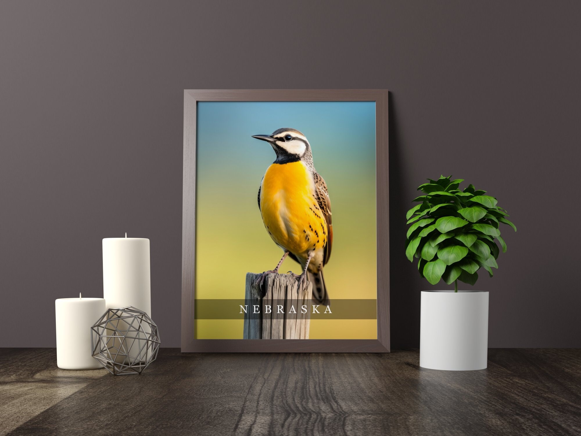 Nebraska State Bird Western Meadowlark Photo Art Print - Etsy
