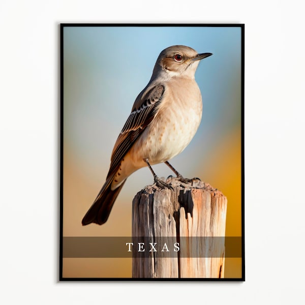Texas State Bird Etsy