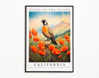 California State Bird - California Quail and State Flower - California Poppy Watercolor Art, State Bird Poster, Wall Art Print, Home Decor