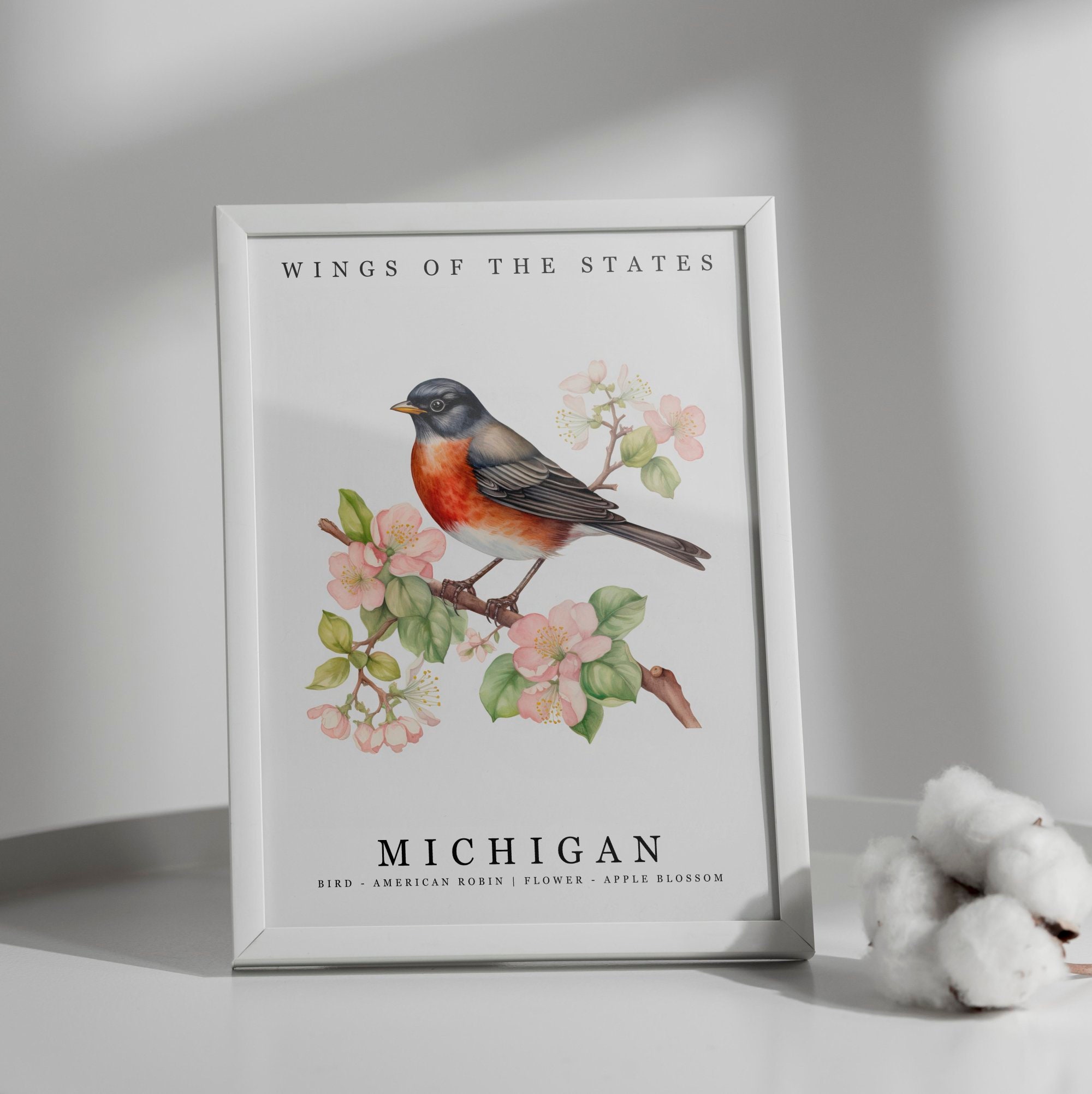 Michigan State Bird - American Robin and State Flower - Apple Blossom ...