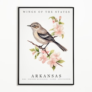Arkansas State Bird - Northern Mockingbird and State Flower - Apple Blossom Watercolor Art, State Bird Poster, Arkansas Wall Art, Home Decor