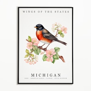 Pájaro del estado de Michigan - petirrojo americano y flor del estado - arte de la acuarela de la flor de manzana, cartel del pájaro del estado, impresión del arte de la pared de Michigan, decoración del hogar