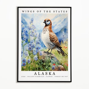 Alaska State Bird - Willow Ptarmigan and State Flower - Forget-Me-Not Watercolor Art, State Bird Poster, Alaska Wall Art Print, Home Decor