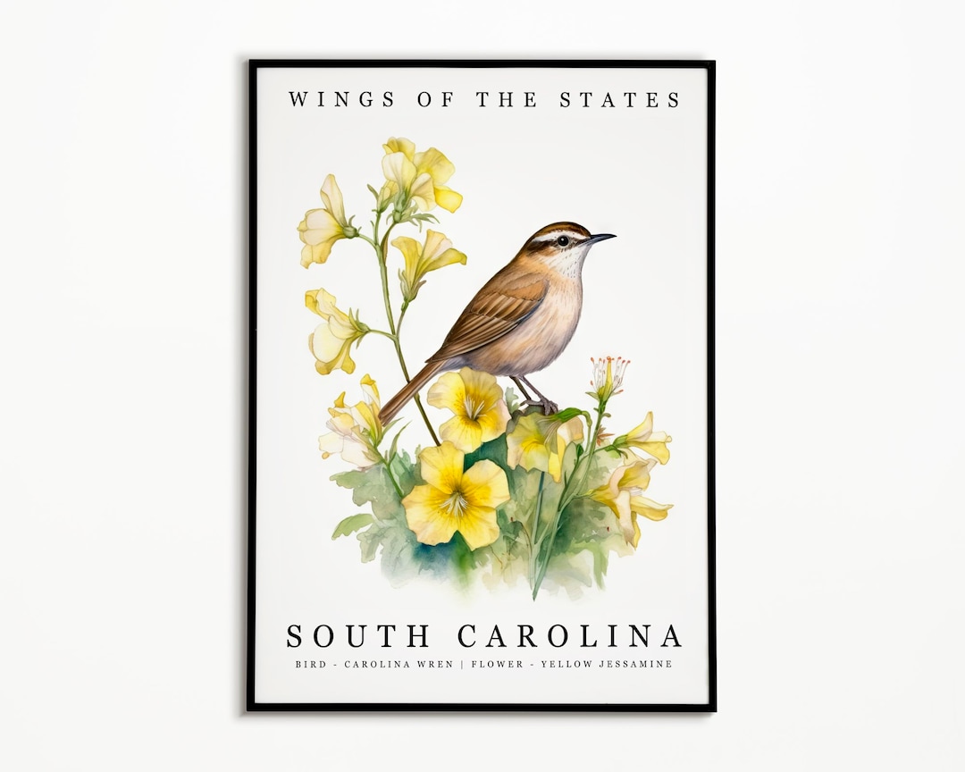 South Carolina State Bird Carolina Wren and State Flower Yellow
