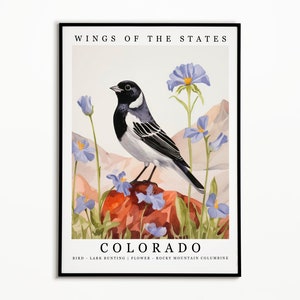 Colorado State Bird - Lark Bunting and State Flower - Rocky Mountain Columbine Watercolor Art, State Bird Poster, Wall Art Print, Home Decor