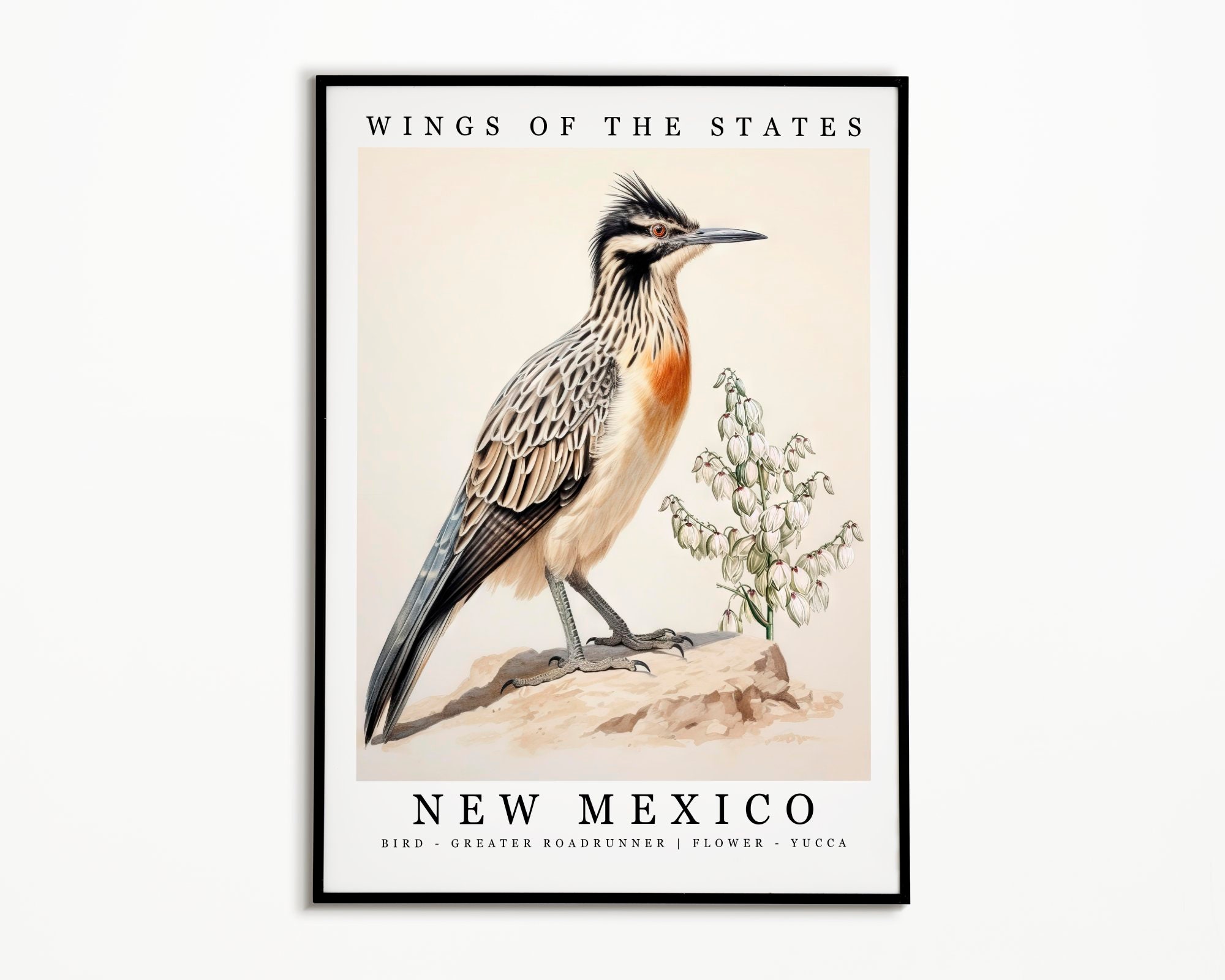 New Mexico State Bird Greater Roadrunner and State Flower - Etsy