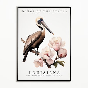 Pájaro del estado de Luisiana - Pelícano pardo y flor del estado - Arte de la acuarela de Magnolia, cartel del pájaro del estado, impresión de arte de la pared de Luisiana, decoración del hogar
