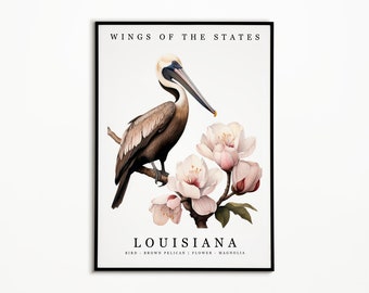 Louisiana State Bird - Brown Pelican and State Flower - Magnolia Watercolor Art, State Bird Poster, Louisiana Wall Art Print, Home Decor