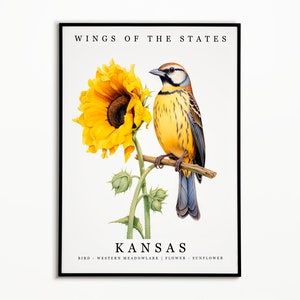 Pájaro del estado de Kansas, Meadowlark occidental y flor del estado, Arte de acuarela de girasol, Póster de pájaro del estado, Impresión de arte de pared de Kansas, Decoración del hogar