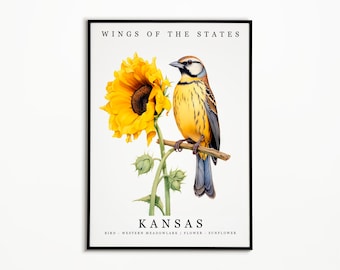Kansas State Bird - Western Meadowlark and State Flower - Sunflower Watercolor Art, State Bird Poster, Kansas Wall Art Print, Home Decor