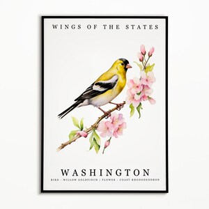 Washington State Bird - Willow Goldfinch and State Flower - Coast Rhododendron Watercolor Art, State Bird Poster, Wall Art Print, Home Decor