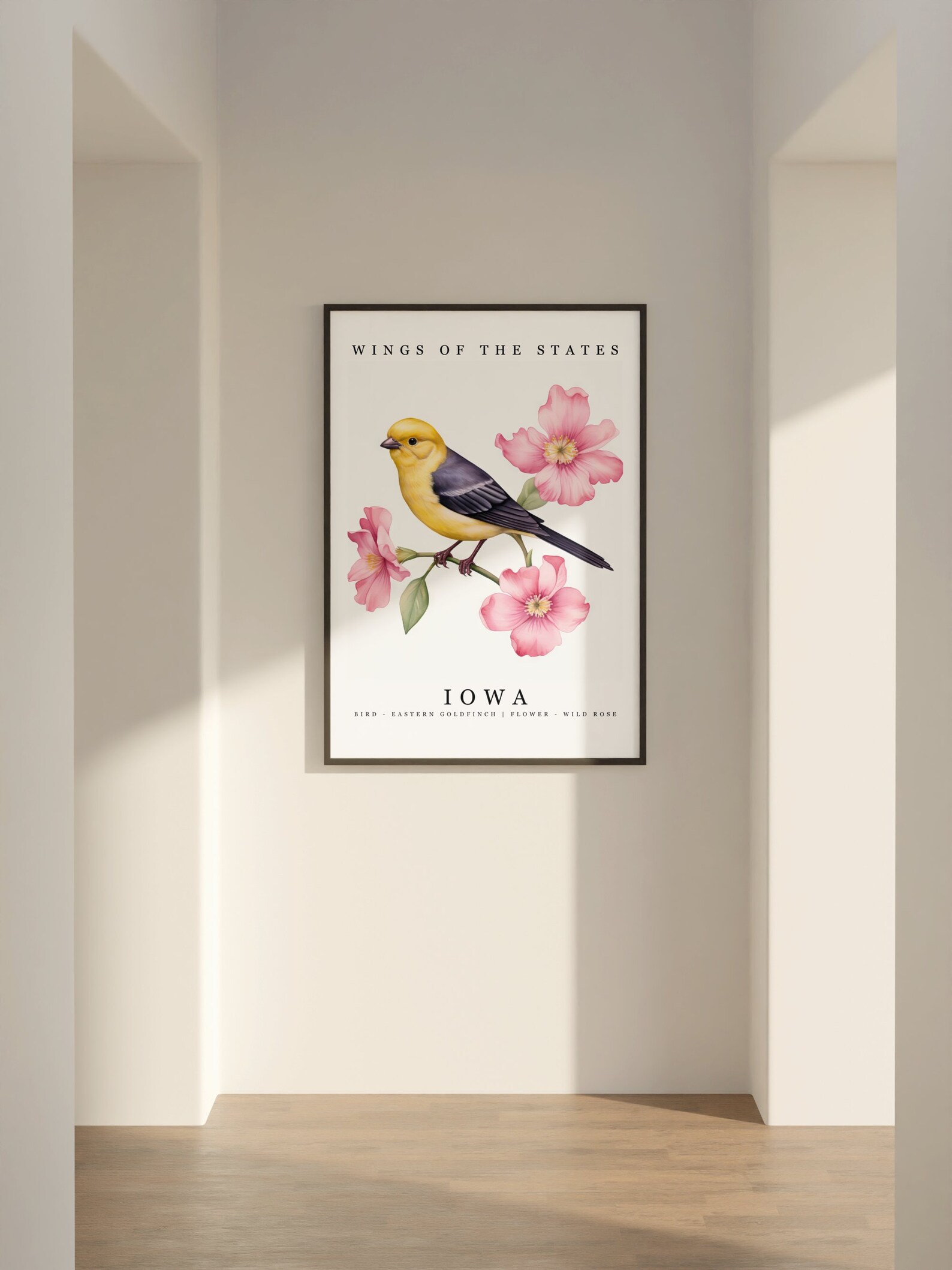 Iowa State Bird Eastern Goldfinch and State Flower Wild Rose