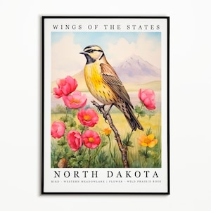 Pájaro estatal de Dakota del Norte - Alondra occidental y flor estatal - Arte de acuarela de rosa de pradera salvaje, cartel de pájaro estatal, impresión de arte de pared, decoración del hogar