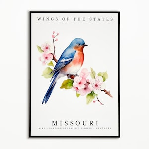 Missouri State Bird - Eastern Bluebird and State Flower - Hawthorn Watercolor Art, State Bird Poster, Missouri Wall Art Print, Home Decor