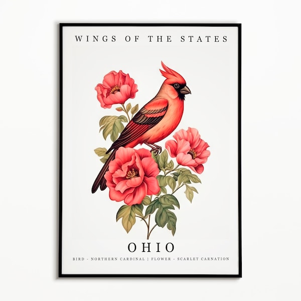 Ohio State Bird - Northern Cardinal and State Flower - Scarlet Carnation Watercolor Art, State Bird Poster, Ohio Wall Art Print, Home Decor