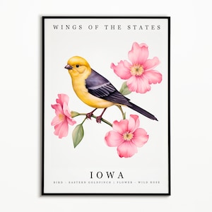 Iowa State Bird - Eastern Goldfinch and State Flower - Wild Rose Watercolor Art, State Bird Poster, Iowa Wall Art Print, Home Decor, Birdie