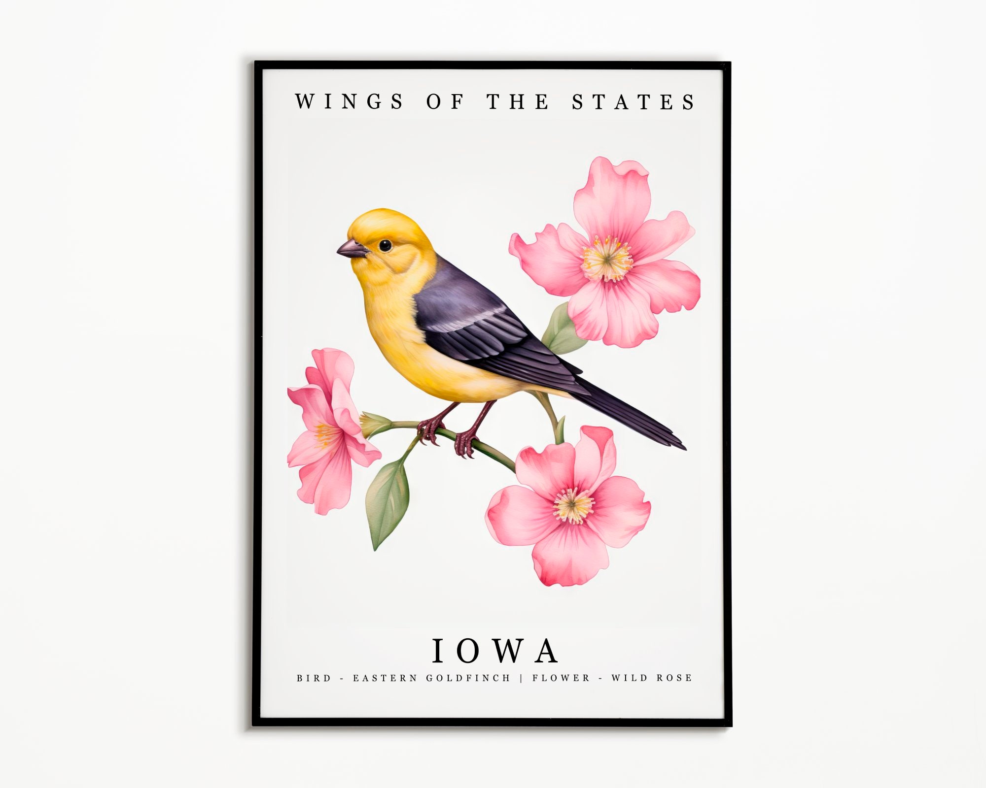 Iowa State Bird - Eastern Goldfinch and State Flower - Wild Rose Watercolor Art, State Bird Poster, Iowa Wall Art Print, Home Decor, Birdie