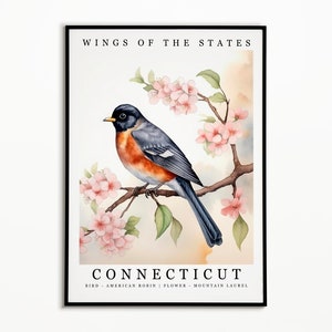 Connecticut State Bird - American Robin and State Flower - Mountain Laurel Watercolor Art, State Bird Poster, Wall Art Print, Home Decor