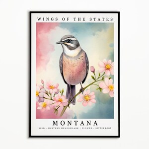 Pájaro del estado de Montana - Alondra occidental y flor del estado - Arte de acuarela de raíz amarga, cartel de pájaro del estado, impresión de arte de pared de Montana, decoración del hogar