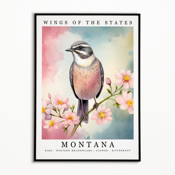 Montana State Bird - Western Meadowlark and State Flower - Bitterroot Watercolor Art, State Bird Poster, Montana Wall Art Print, Home Decor