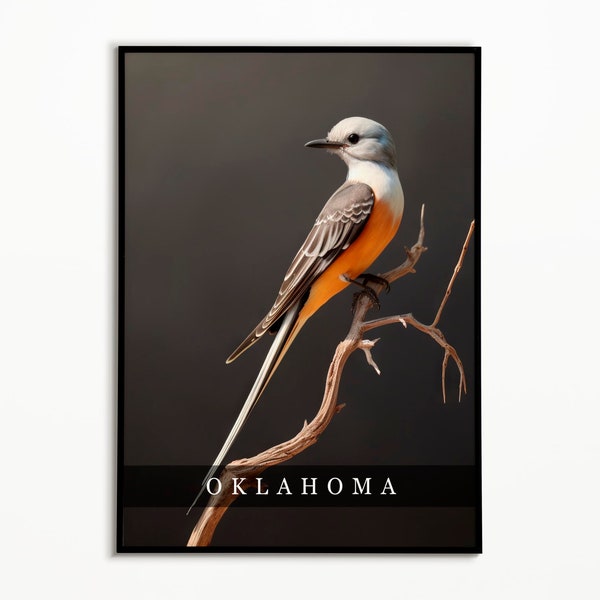 Oklahoma State Bird - Scissor-tailed Flycatcher Photo Art Print, State Bird Poster, American Bird Photography Wall Art Print, Home Decor