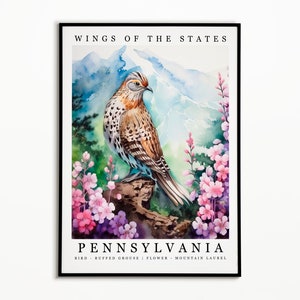 Pájaro del estado de Pensilvania - Urogallo y flor del estado - Arte de la acuarela del laurel de montaña, cartel del pájaro del estado, impresión de arte de la pared, decoración del hogar