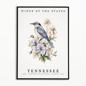 Pájaro del estado de Tennessee - Ruiseñor del norte y flor del estado - Arte de la acuarela del iris, cartel del pájaro del estado, impresión del arte de la pared de Tennessee, decoración del hogar