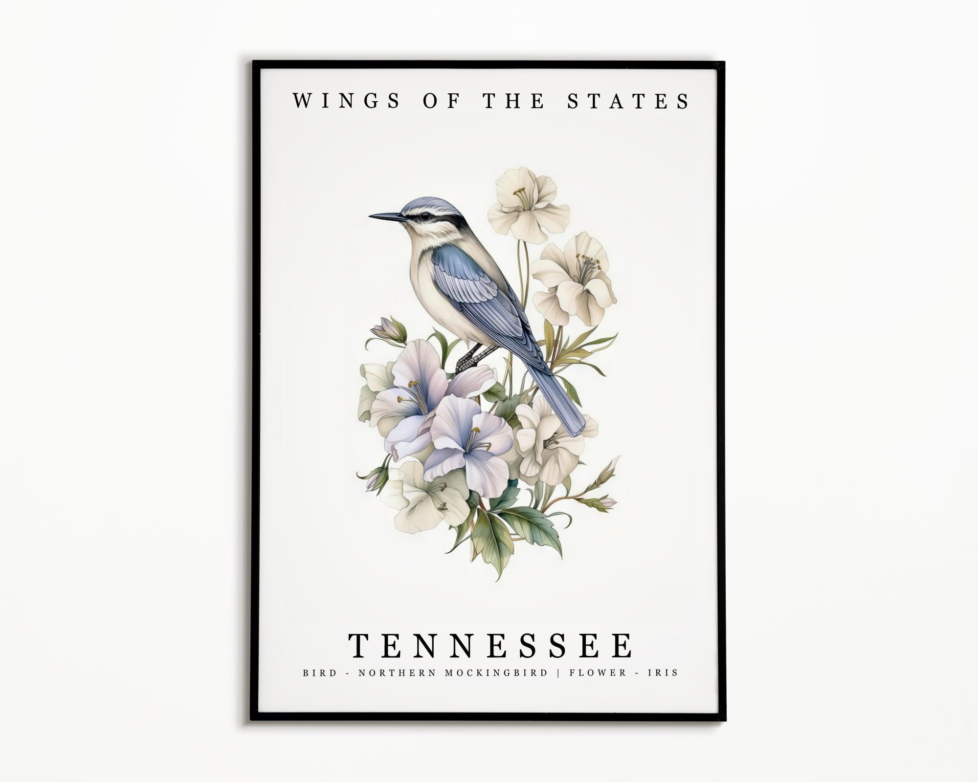 Tennessee State Bird - Northern Mockingbird and State Flower - Iris