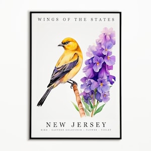 New Jersey State Bird - Stieglitz und Staatsblume - Violet Aquarell Kunst, State Bird Poster, New Jersey Wand Kunst, Home Decor