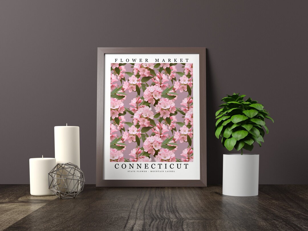 Connecticut State Flower - Mountain Laurel Wall Art Print Flower Market ...