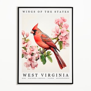 West Virginia State Bird - Northern Cardinal and State Flower - Rhododendron Watercolor Art, State Bird Poster, Wall Art Print, Home Decor