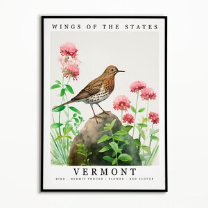 Vermont State Bird - Hermit Thrush and State Flower - Red Clover Watercolor Art, State Bird Poster, Vermont Wall Art Print,Home Decor,Birdie