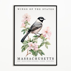 Pájaro del estado de Massachusetts - carbonero de gorra negra y flor del estado - arte de la acuarela de Mayflower, cartel del pájaro del estado, impresión de arte de la pared, decoración del hogar