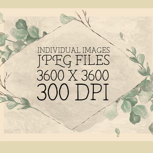 May include: A digital illustration of a watercolor-style floral border with a diamond-shaped frame in the center. The frame contains the text "INDIVIDUAL IMAGES JPEG FILES 3600 X 3600 300 DPI".