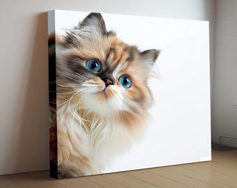 Cat Peekaboo Canvas Art Print | Wall Poster | Cat Lover Gift | Cat Portrait | Funny Photograph | Wall Art Home Decor | Calico Persian