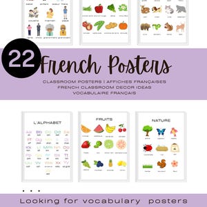 フランス語の語彙ポスター - FSL教室向けAffiches en Français • 印刷可能な装飾と絵辞書リソース